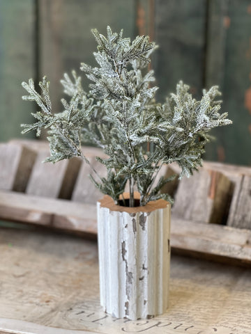 Snowslip Pine Bush | 15"