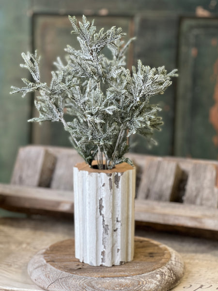 Snowslip Pine Bush | 15"