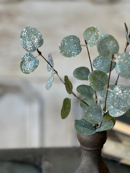 Crisp Air Eucalyptus Pick (w/ frost effect) | 14" | SOLD OUT