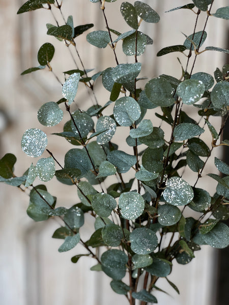 Crisp Air Eucalyptus Bundle (w/ frost effect) | 35" | SOLD OUT