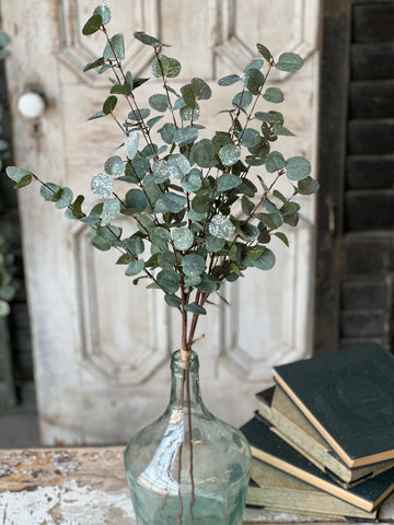 Crisp Air Eucalyptus Bundle (w/ frost effect) | 35" | SOLD OUT