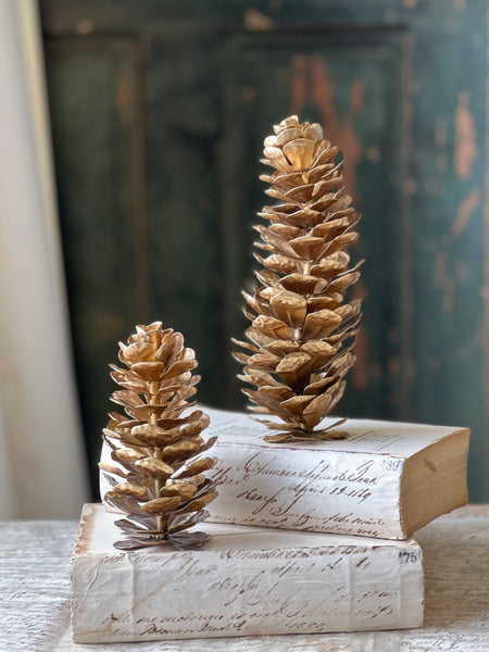 Epaulette Pinecone | 5.75" | SOLD OUT