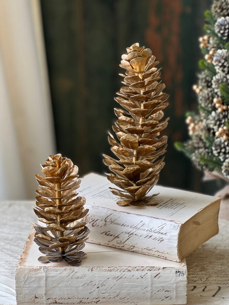 Epaulette Pinecone | 5.75" | SOLD OUT