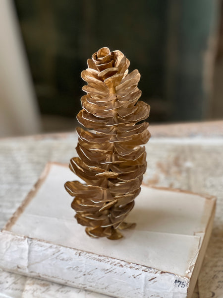 Epaulette Pinecone | 9" | SOLD OUT