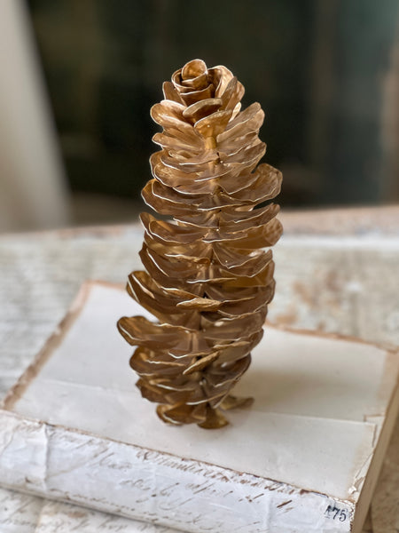 Epaulette Pinecone | 9" | SOLD OUT