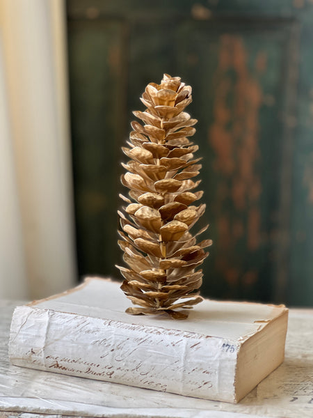 Epaulette Pinecone | 9" | SOLD OUT