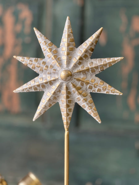 Faberge' Star | 14" | SOLD OUT