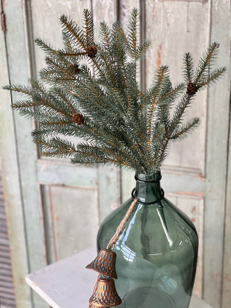 Trinity Fir Bush | 24" | SOLD OUT