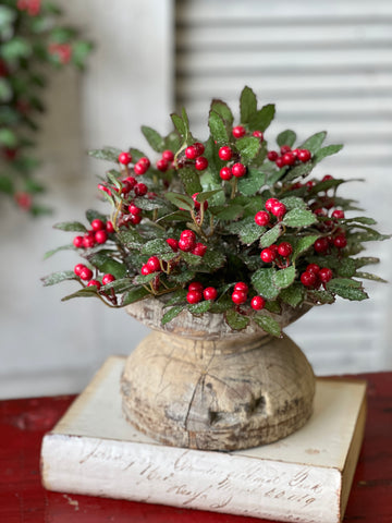 Holly Half Sphere w/ Berry | 10" | SOLD OUT