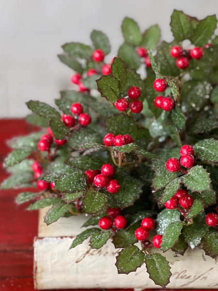 Holly Half Sphere w/ Berry | 10" | SOLD OUT