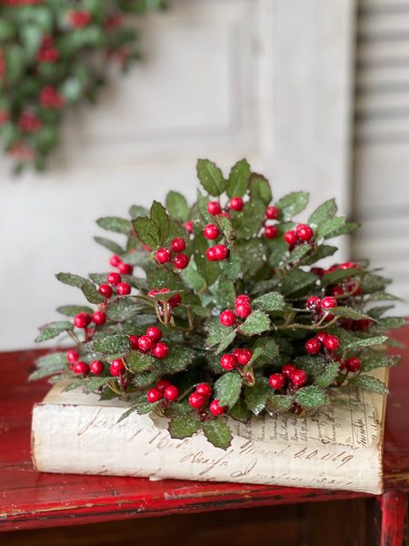 Holly Half Sphere w/ Berry | 10" | SOLD OUT