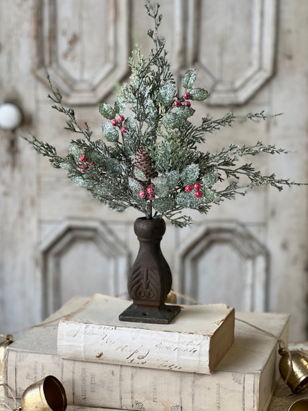 Holly Hill Cedar Bush | 18"