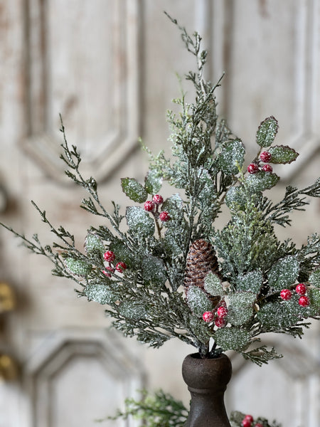 Holly Hill Cedar Bush | 18"