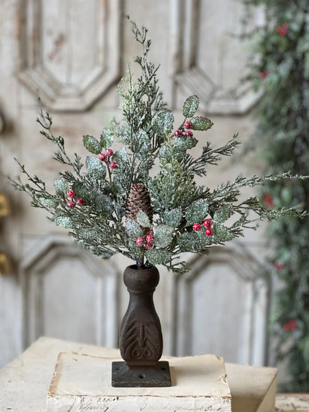 Holly Hill Cedar Bush | 18"