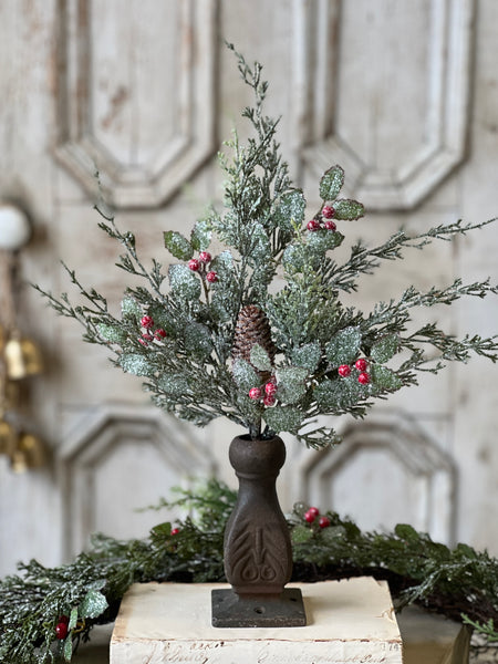 Holly Hill Cedar Bush | 18"