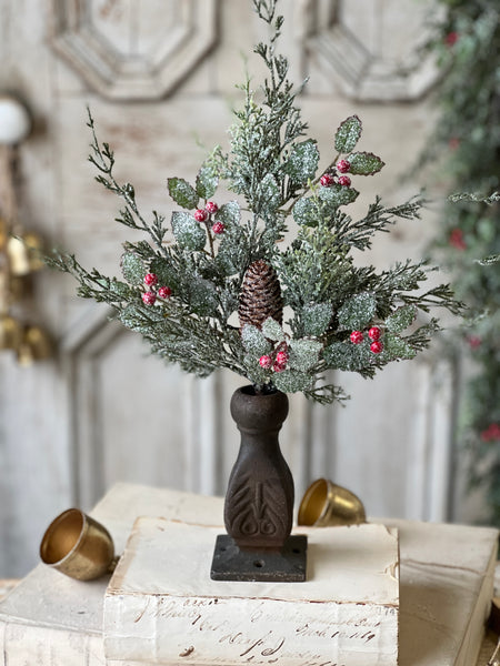 Holly Hill Cedar Bush | 18"