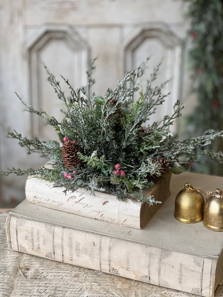 Holly Hill Cedar Half Sphere | 10"