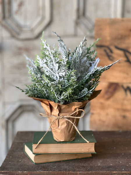 Snow Bliss Pot | 9" | Cypress | SOLD OUT