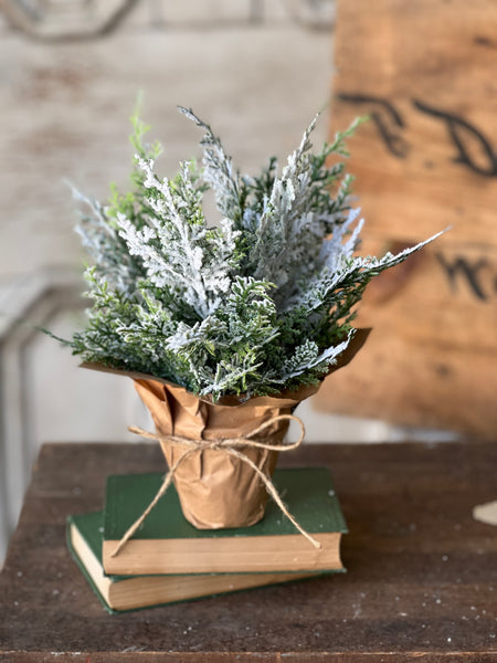 Snow Bliss Pot | 9" | Cypress | SOLD OUT