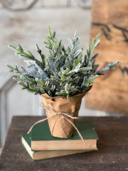 Snow Bliss Pot | 9" | Juniper | SOLD OUT