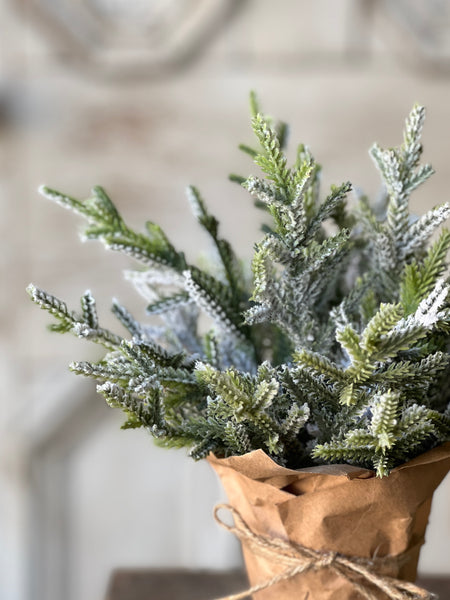 Snow Bliss Pot | 9" | Juniper | SOLD OUT