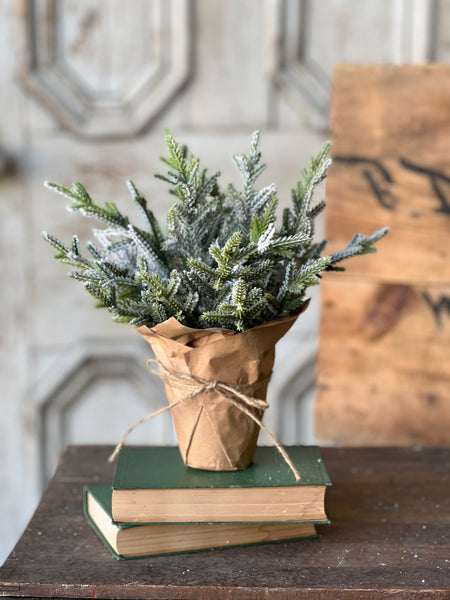 Snow Bliss Pot | 9" | Juniper | SOLD OUT