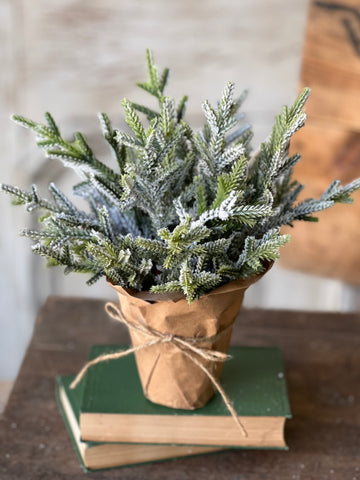 Snow Bliss Pot | 9" | Juniper | SOLD OUT