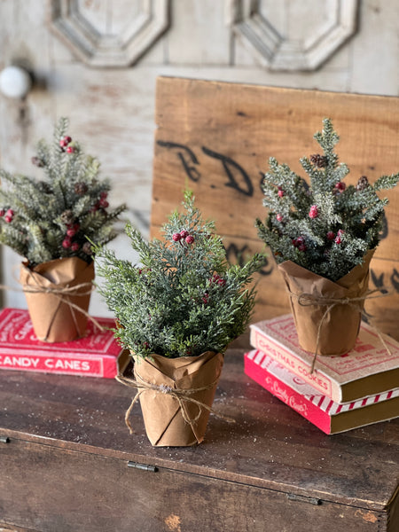 Merry Market Pot | 12" | No. 3