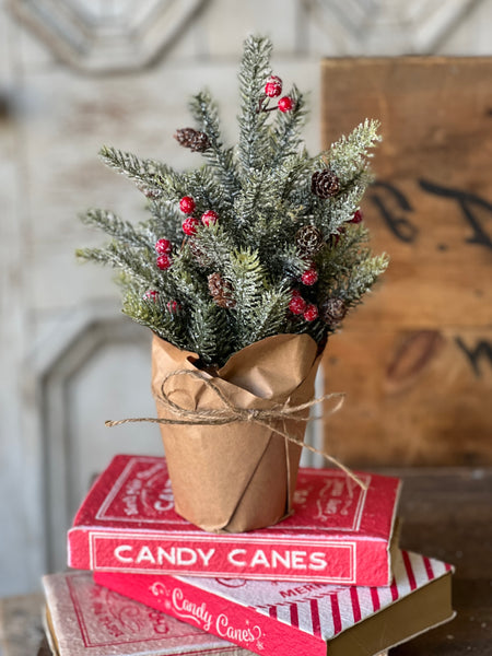 Merry Market Pot | 12" | No. 1 | SOLD OUT