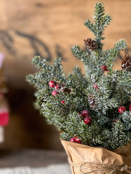 Merry Market Pot | 12" | No. 2