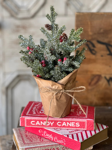 Merry Market Pot | 12" | No. 2