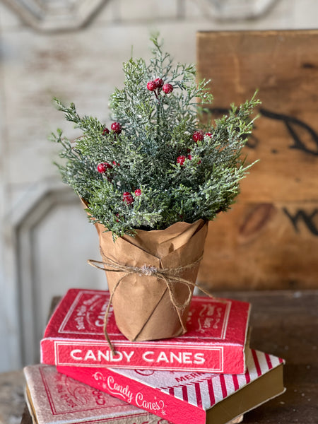 Merry Market Pot | 12" | No. 3