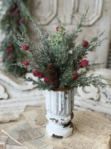 Shining Balsam Berry Bush | 20" | NOT CURRENTLY IN STOCK-New For Holiday 2026!