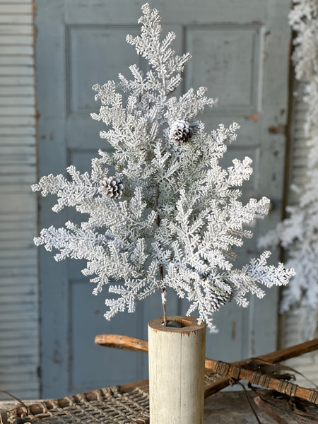 Snowy Hemingway Fir Spray | 36"