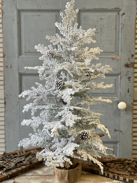 Snowy Hemingway Fir Tree | 36" | Limited Stock - Last 48pcs!