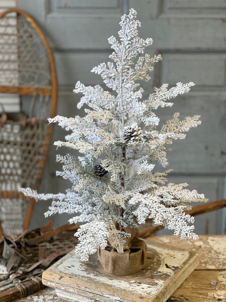 Snowy Hemingway Fir Tree | 24" | Limited Stock - Last 32pcs!