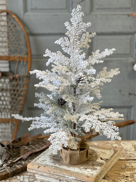 Snowy Hemingway Fir Tree | 24" | Limited Stock - Last 32pcs!