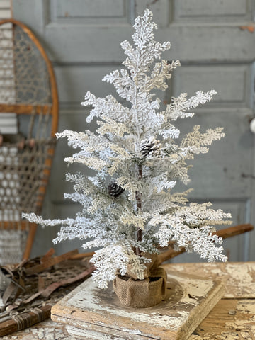 Snowy Hemingway Fir Tree | 24" | Limited Stock - Last 32pcs!