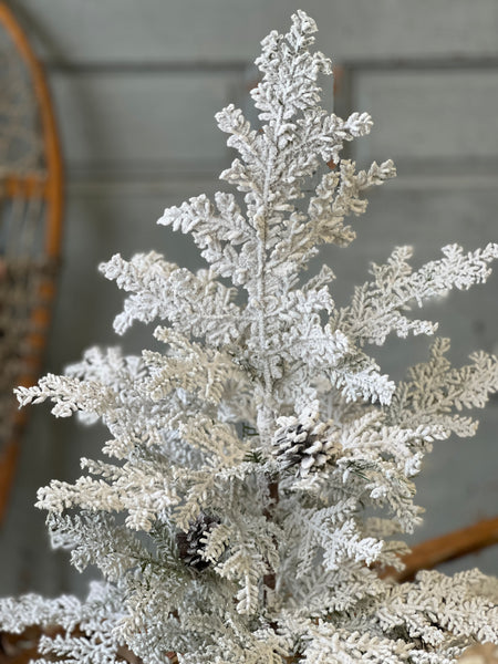 Snowy Hemingway Fir Tree | 24" | Limited Stock - Last 32pcs!