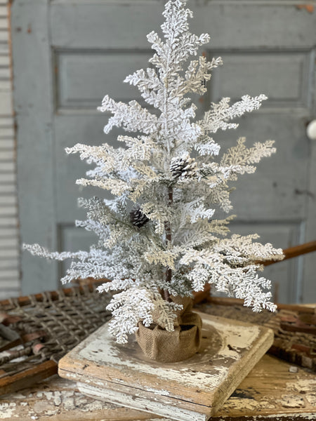 Snowy Hemingway Fir Tree | 24" | Limited Stock - Last 32pcs!