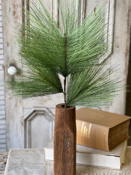 Bursting Pine Spray | 33"