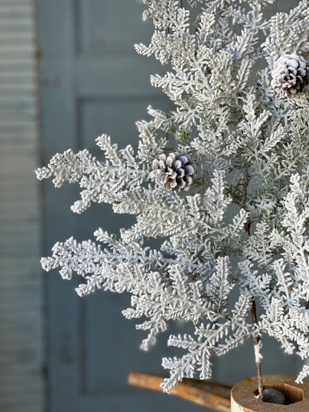 Snowy Hemingway Fir Spray | 36"