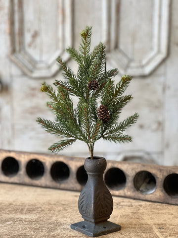 White Spruce Pick | 16"