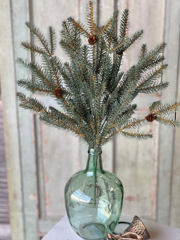 Trinity Fir Bush | 24" | SOLD OUT