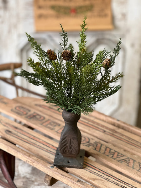 Telluride Spruce Bush | 14"