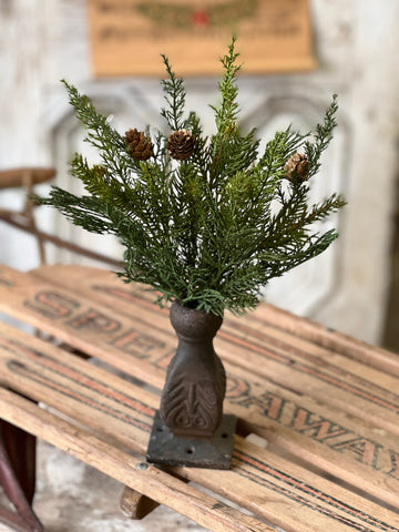 Telluride Spruce Bush | 14"