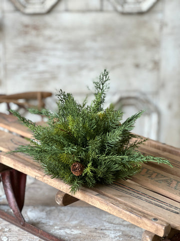 Telluride Spruce Half Sphere | 11"