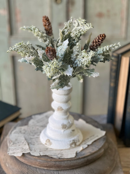 Iced Calgary Holly Bush | 12" | Limited Stock - Last 24pcs!