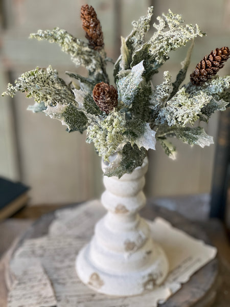 Iced Calgary Holly Bush | 12" | Limited Stock - Last 24pcs!