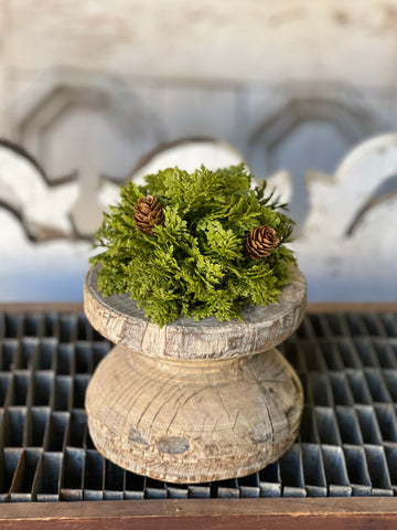Leyland Cypress Half Sphere | 5.5" | SOLD OUT